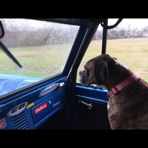 Meet your Posher, Shawn